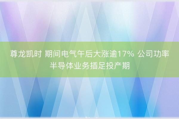 尊龙凯时 期间电气午后大涨逾17% 公司功率半导体业务插足投产期