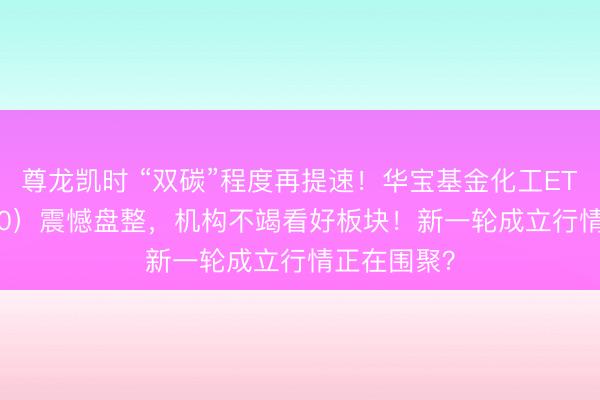 尊龙凯时 “双碳”程度再提速！华宝基金化工ETF（516020）震憾盘整，机构不竭看好板块！新一轮成立行情正在围聚？
