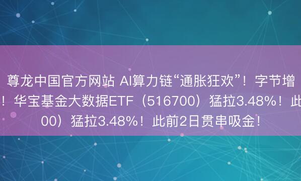 尊龙中国官方网站 AI算力链“通胀狂欢”！字节增多25%成本开支！华宝基金大数据ETF（516700）猛拉3.48%！此前2日贯串吸金！