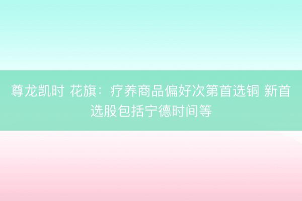 尊龙凯时 花旗：疗养商品偏好次第首选铜 新首选股包括宁德时间等