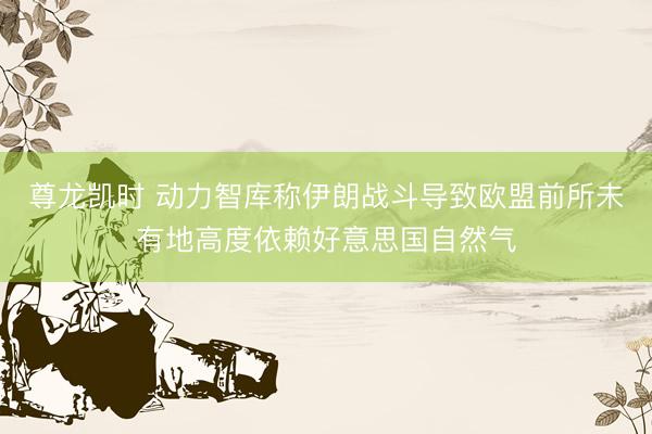 尊龙凯时 动力智库称伊朗战斗导致欧盟前所未有地高度依赖好意思国自然气