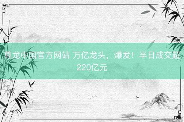 尊龙中国官方网站 万亿龙头，爆发！半日成交超220亿元