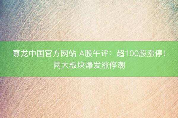 尊龙中国官方网站 A股午评：超100股涨停！两大板块爆发涨停潮