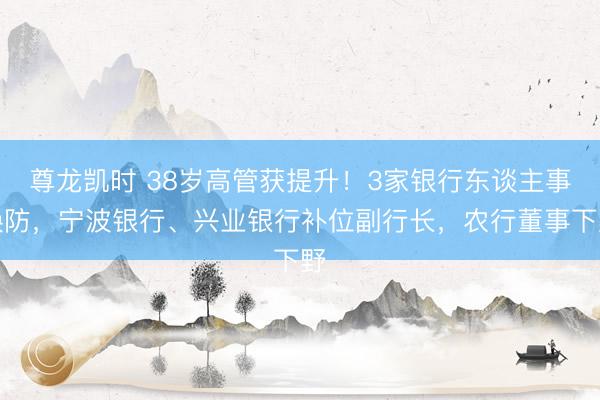 尊龙凯时 38岁高管获提升！3家银行东谈主事换防，宁波银行、兴业银行补位副行长，农行董事下野