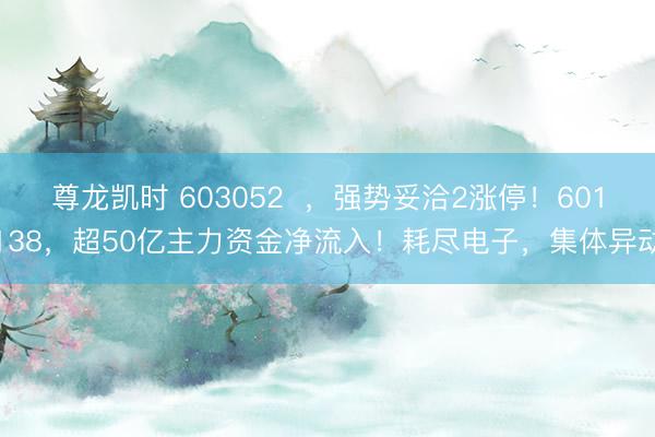 尊龙凯时 603052  ，强势妥洽2涨停！601138，超50亿主力资金净流入！耗尽电子，集体异动