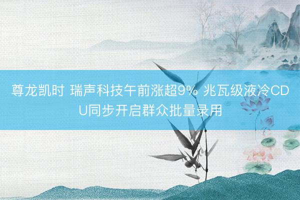 尊龙凯时 瑞声科技午前涨超9% 兆瓦级液冷CDU同步开启群众批量录用