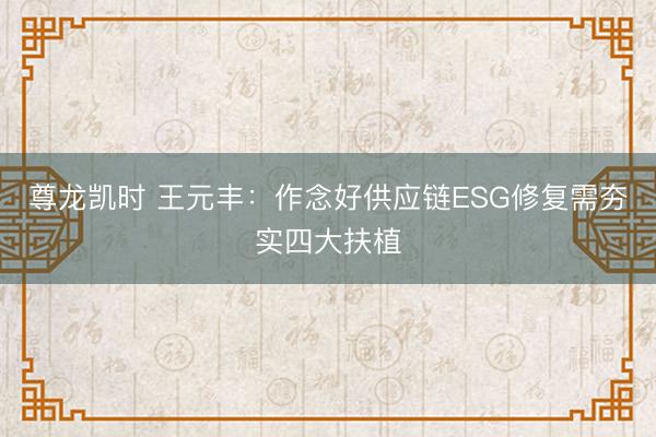 尊龙凯时 王元丰：作念好供应链ESG修复需夯实四大扶植