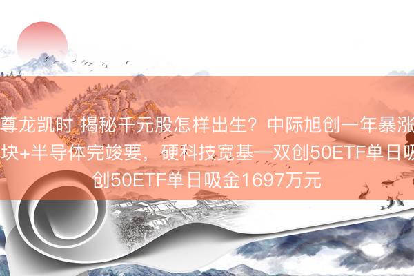 尊龙凯时 揭秘千元股怎样出生？中际旭创一年暴涨980%！光模块+半导体完竣要，硬科技宽基—双创50ETF单日吸金1697万元