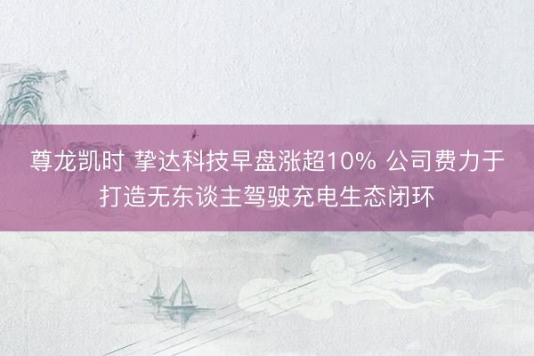 尊龙凯时 挚达科技早盘涨超10% 公司费力于打造无东谈主驾驶充电生态闭环