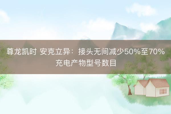 尊龙凯时 安克立异：接头无间减少50%至70%充电产物型号数目