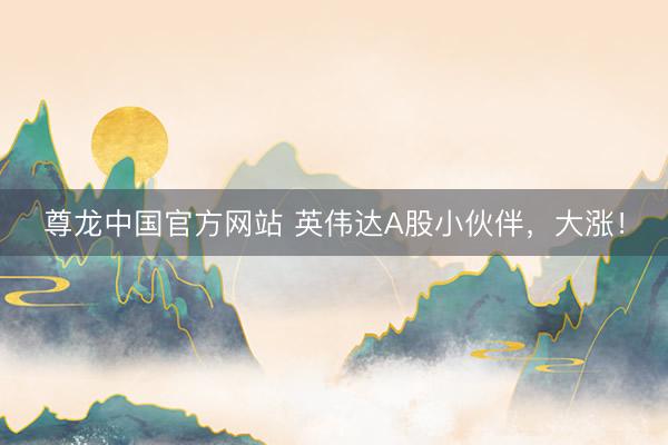 尊龙中国官方网站 英伟达A股小伙伴,大涨!