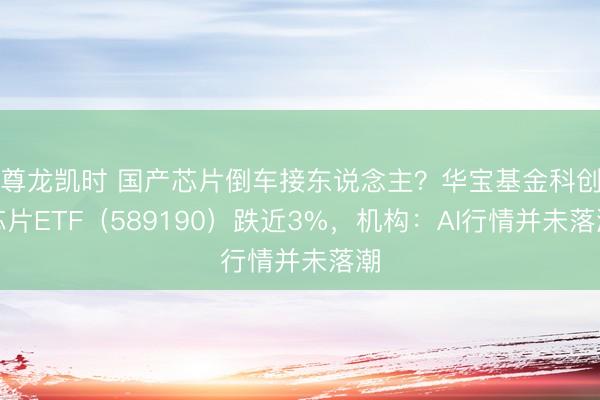 尊龙凯时 国产芯片倒车接东说念主？华宝基金科创芯片ETF（589190）跌近3%，机构：AI行情并未落潮
