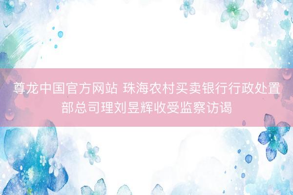 尊龙中国官方网站 珠海农村买卖银行行政处置部总司理刘昱辉收受监察访谒