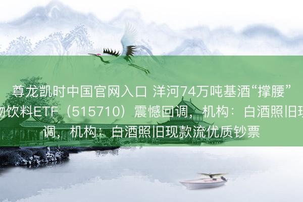 尊龙凯时中国官网入口 洋河74万吨基酒“撑腰”！华宝基金食物饮料ETF（515710）震憾回调，机构：白酒照旧现款流优质钞票