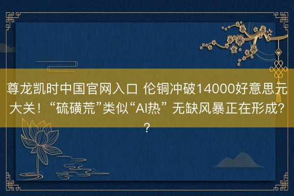 尊龙凯时中国官网入口 伦铜冲破14000好意思元大关！“硫磺荒”类似“AI热” 无缺风暴正在形成？