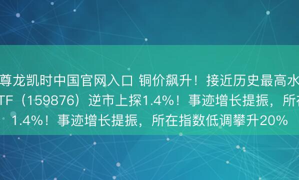尊龙凯时中国官网入口 铜价飙升！接近历史最高水平！华宝基金有色ETF（159876）逆市上探1.4%！事迹增长提振，所在指数低调攀升20%
