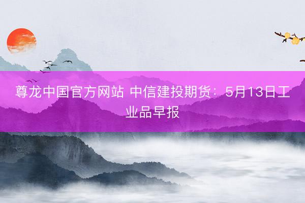 尊龙中国官方网站 中信建投期货：5月13日工业品早报