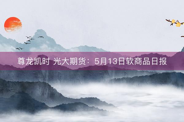 尊龙凯时 光大期货:5月13日软商品日报