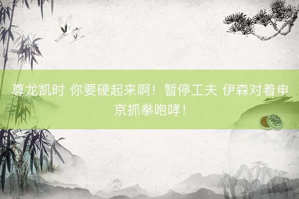 尊龙凯时 你要硬起来啊！暂停工夫 伊森对着申京抓拳咆哮！