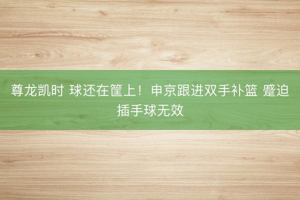 尊龙凯时 球还在筐上！申京跟进双手补篮 蹙迫插手球无效