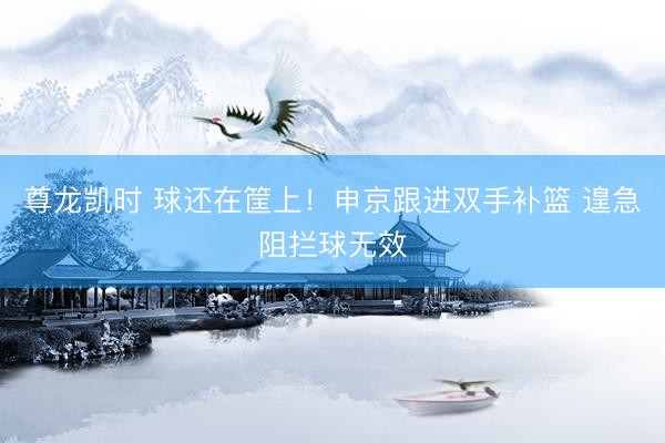 尊龙凯时 球还在筐上！申京跟进双手补篮 遑急阻拦球无效