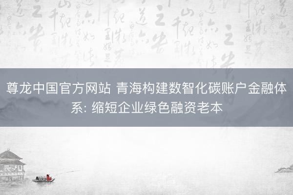 尊龙中国官方网站 青海构建数智化碳账户金融体系: 缩短企业绿色融资老本