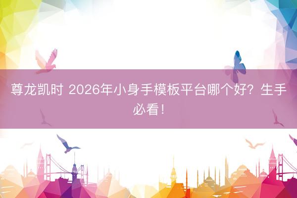 尊龙凯时 2026年小身手模板平台哪个好？生手必看！