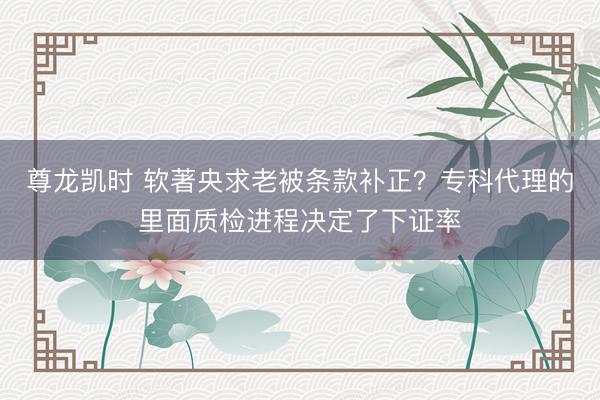 尊龙凯时 软著央求老被条款补正？专科代理的里面质检进程决定了下证率
