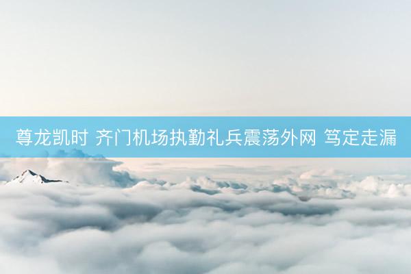 尊龙凯时 齐门机场执勤礼兵震荡外网 笃定走漏