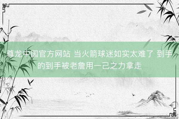 尊龙中国官方网站 当火箭球迷如实太难了 到手的到手被老詹用一己之力拿走