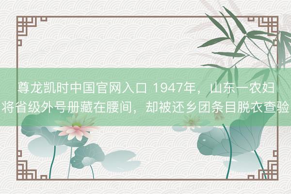 尊龙凯时中国官网入口 1947年，山东一农妇将省级外号册藏在腰间，却被还乡团条目脱衣查验