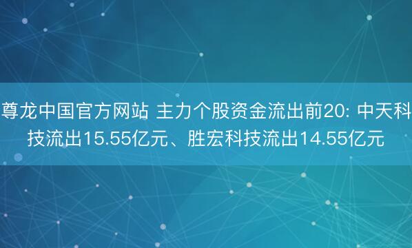 尊龙中国官方网站 主力个股资金流出前20: 中天科技流出15.55亿元、胜宏科技流出14.55亿元