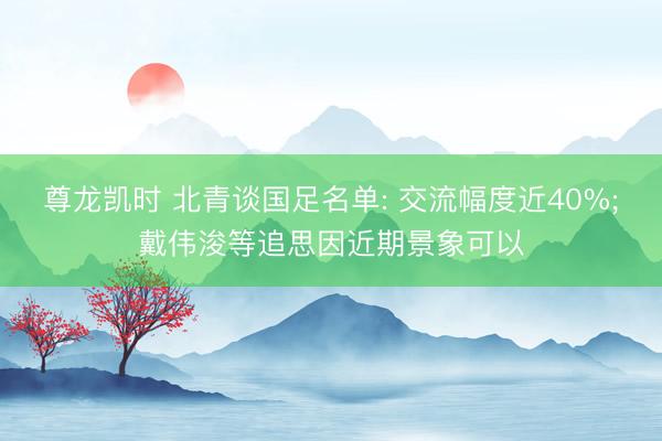 尊龙凯时 北青谈国足名单: 交流幅度近40%;戴伟浚等追思因近期景象可以