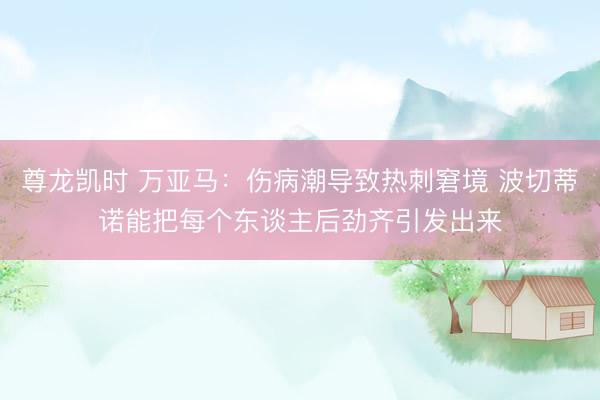 尊龙凯时 万亚马：伤病潮导致热刺窘境 波切蒂诺能把每个东谈主后劲齐引发出来