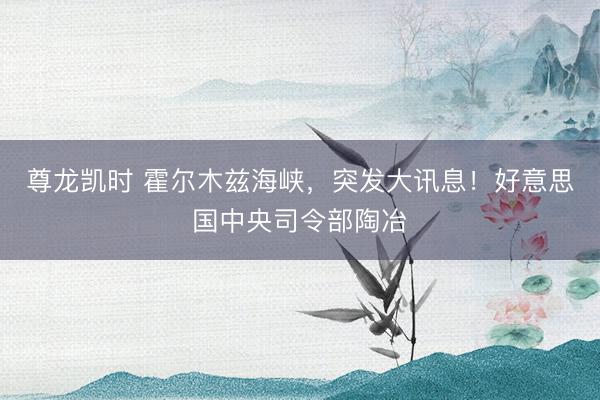 尊龙凯时 霍尔木兹海峡，突发大讯息！好意思国中央司令部陶冶