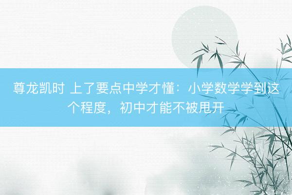 尊龙凯时 上了要点中学才懂：小学数学学到这个程度，初中才能不被甩开