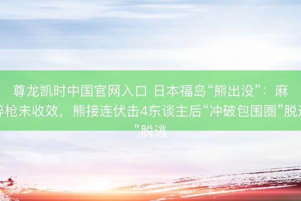 尊龙凯时中国官网入口 日本福岛“熊出没”：麻醉枪未收效，熊接连伏击4东谈主后“冲破包围圈”脱逃