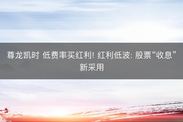 尊龙凯时 低费率买红利! 红利低波: 股票“收息”新采用
