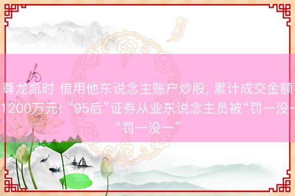 尊龙凯时 借用他东说念主账户炒股， 累计成交金额近1200万元! “95后”证券从业东说念主员被“罚一没一”