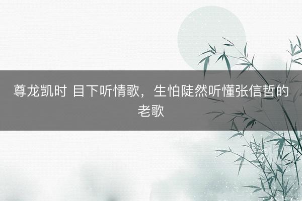 尊龙凯时 目下听情歌，生怕陡然听懂张信哲的老歌