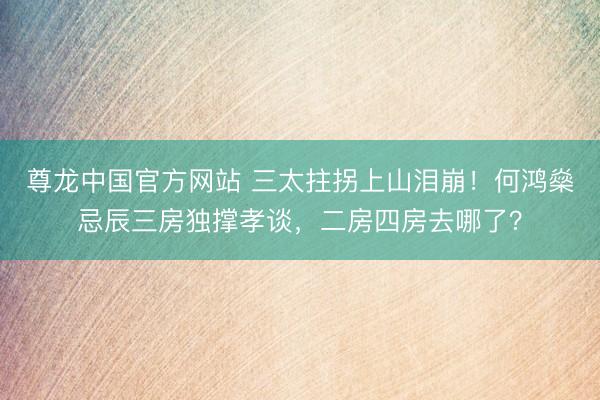 尊龙中国官方网站 三太拄拐上山泪崩！何鸿燊忌辰三房独撑孝谈，二房四房去哪了？