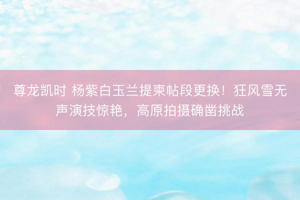 尊龙凯时 杨紫白玉兰提柬帖段更换！狂风雪无声演技惊艳，高原拍摄确凿挑战