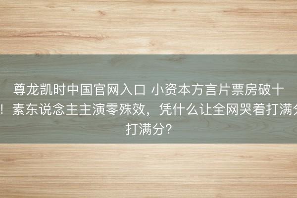 尊龙凯时中国官网入口 小资本方言片票房破十亿！素东说念主主演零殊效，凭什么让全网哭着打满分？