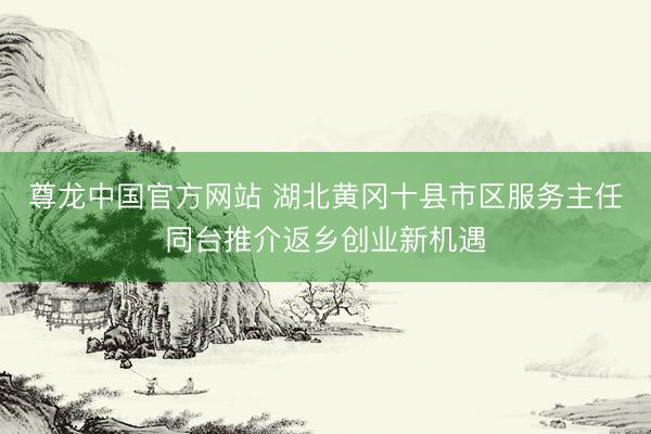 尊龙中国官方网站 湖北黄冈十县市区服务主任同台推介返乡创业新机遇