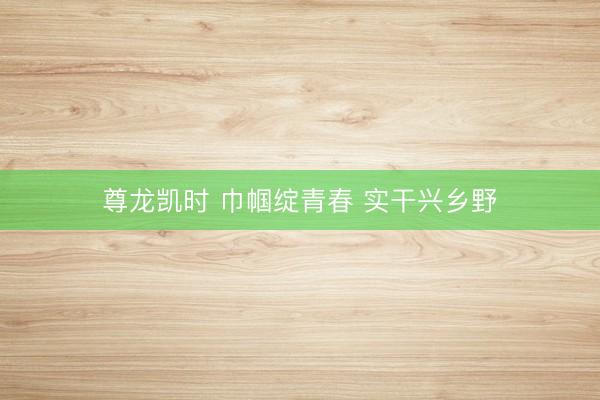 尊龙凯时 巾帼绽青春 实干兴乡野
