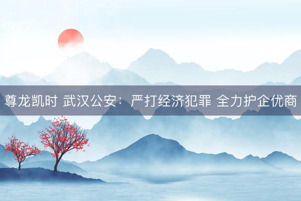 尊龙凯时 武汉公安：严打经济犯罪 全力护企优商