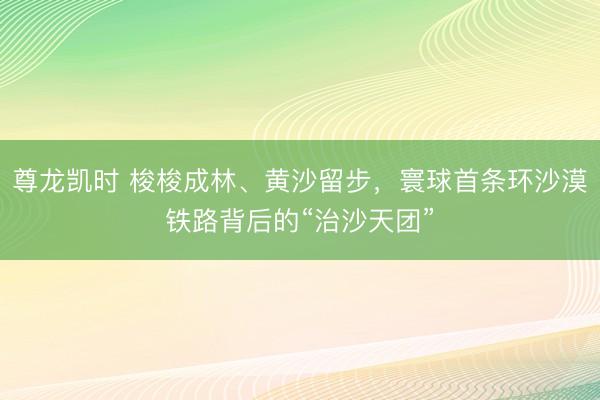 尊龙凯时 梭梭成林、黄沙留步，寰球首条环沙漠铁路背后的“治沙天团”