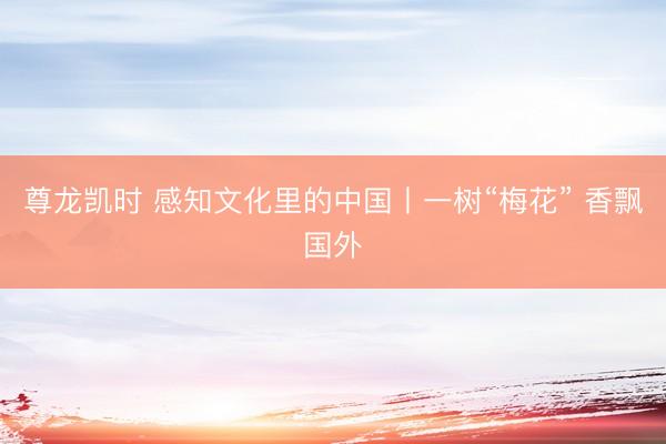 尊龙凯时 感知文化里的中国丨一树“梅花” 香飘国外