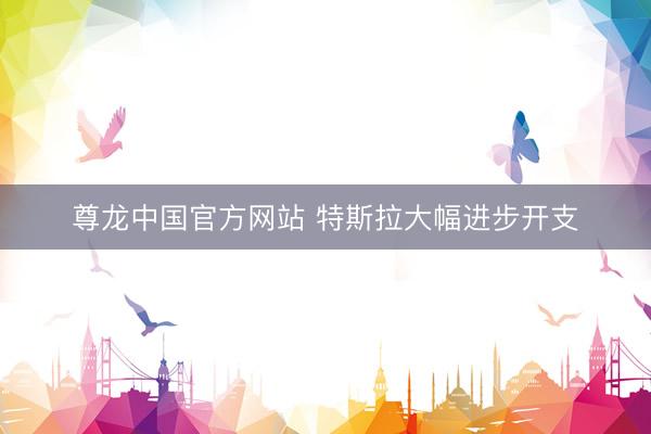 尊龙中国官方网站 特斯拉大幅进步开支