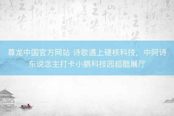 尊龙中国官方网站 诗歌遇上硬核科技，中阿诗东说念主打卡小鹏科技园超酷展厅